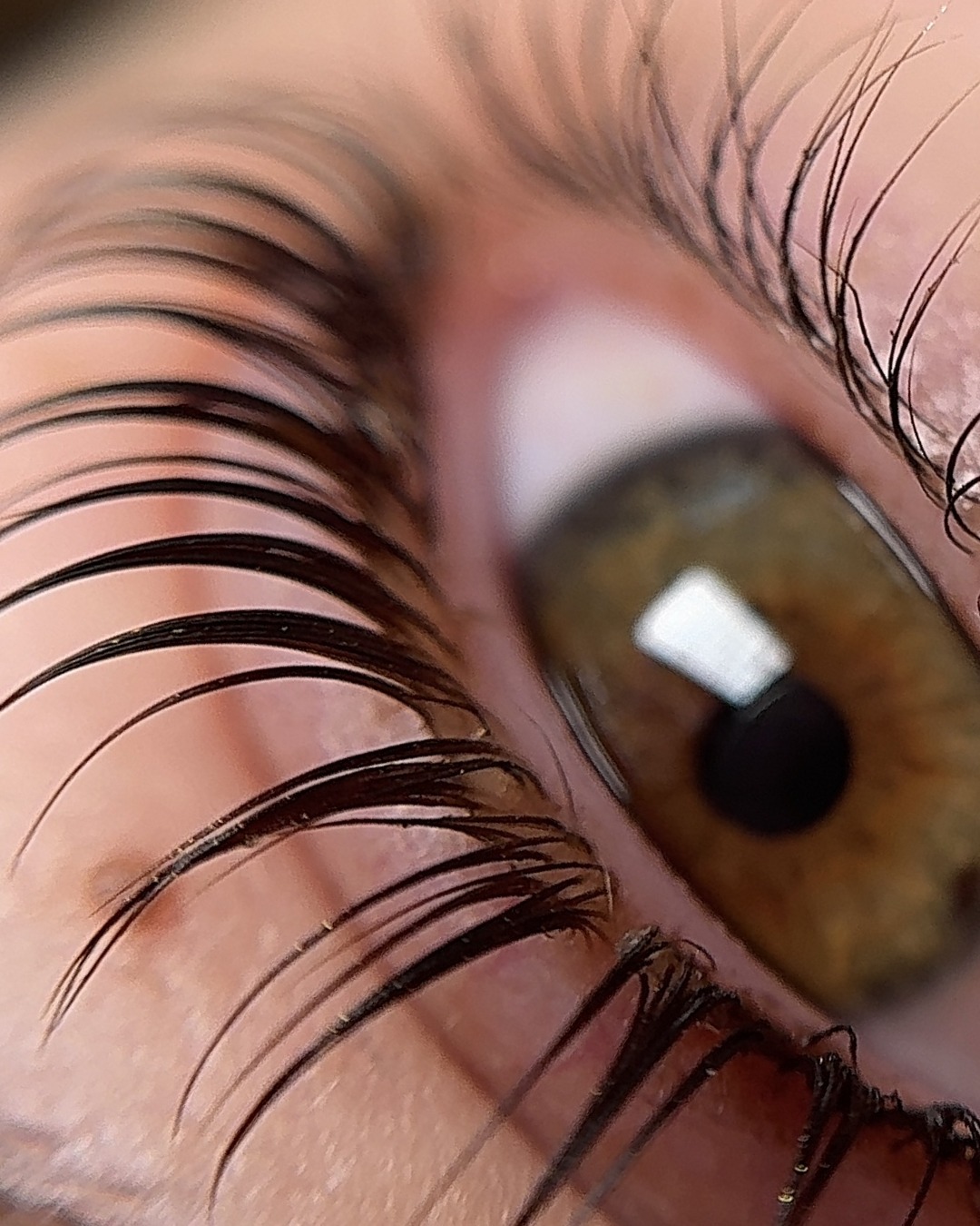 Close-up van een oog met een Korean lash lift